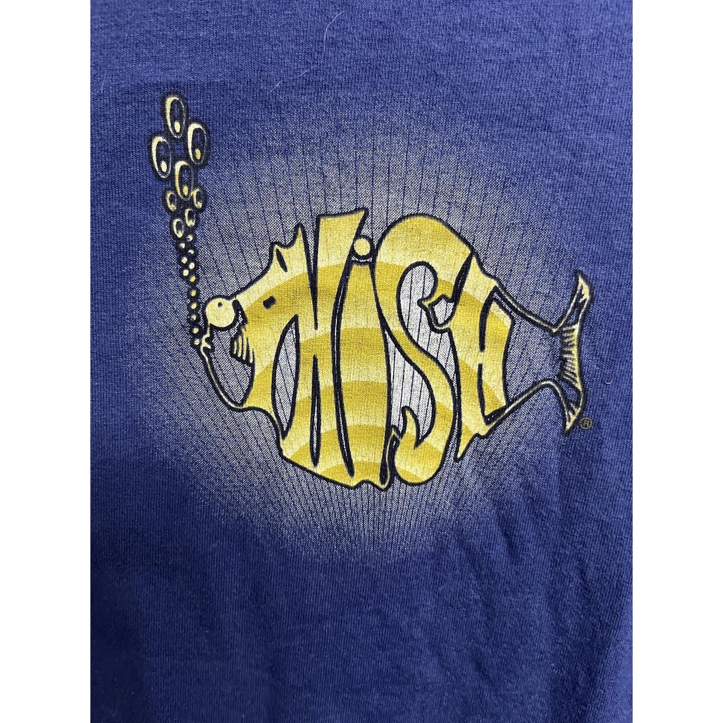 Vtg Phish T-shirt Tour 2000 Radio City Music Hall NYC - L