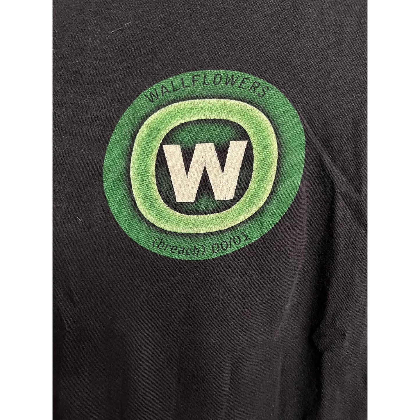 VTG The Wallflowers Band T-shirt Album Breach Tour Tee - L