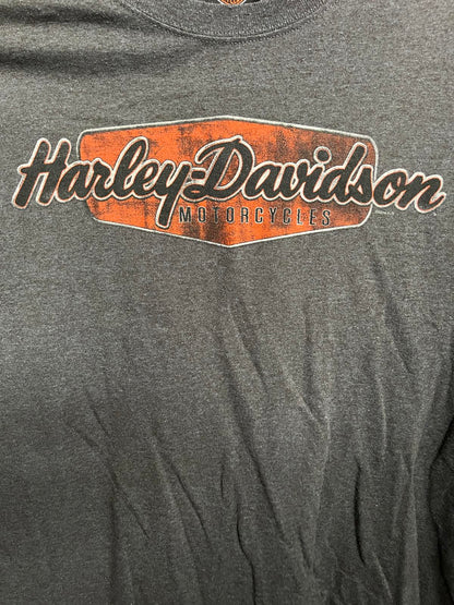 T-shirt Harley Davidson Surfboard Flames Bald Eagle Surf Tee