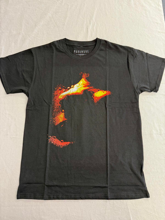 Paramore T-shirt This is Why Album Tee 2 Sided